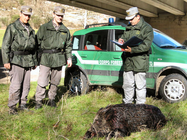 Abbattono un cinghiale nella Riserva Monti Navegna e Cervia: cacciatori condannati