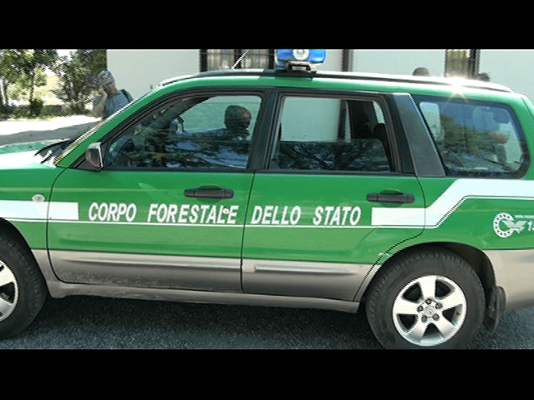 SERVIZIO TG – FORESTALE, SEQUESTRO FURGONE