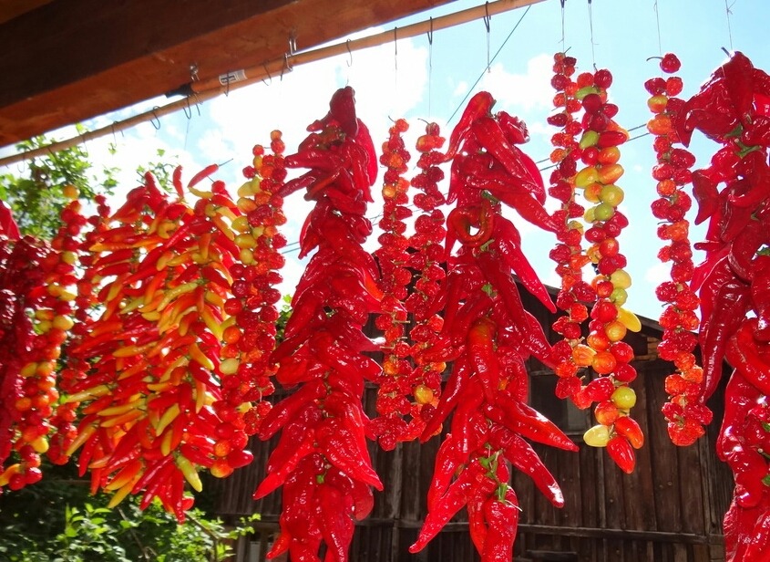 AL VIA “RIETI CUORE PICCANTE”, LA FIERA INTERNAZIONALE DEL PEPERONCINO