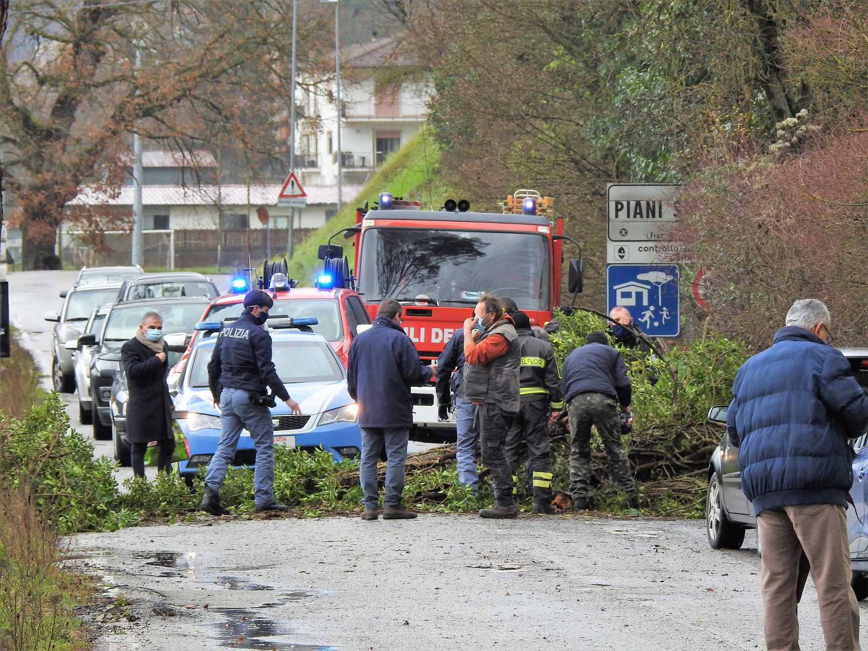 MALTEMPO: UN ALBERO CADE SULLA TANCIA. NESSUN FERITO