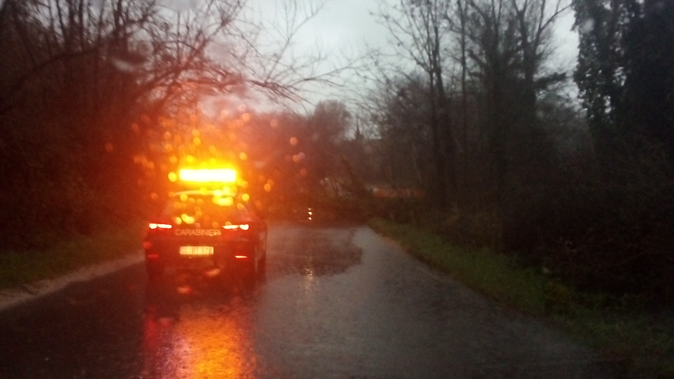 MALTEMPO: CADE ALBERO SULLA STRADA, CHIUSA LA SR313 TERNANA