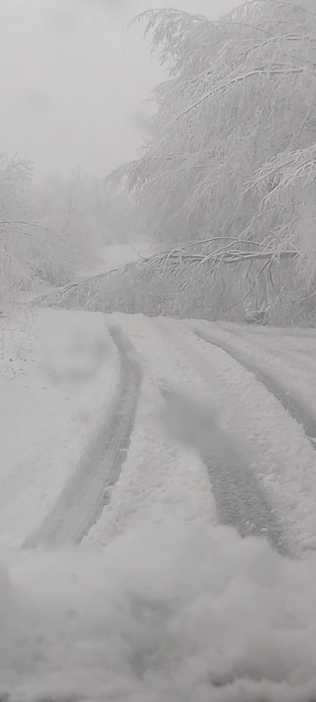 MALTEMPO, LAZIO: ALLERTA NEVE GIALLA DA STASERA E PER 24 ORE