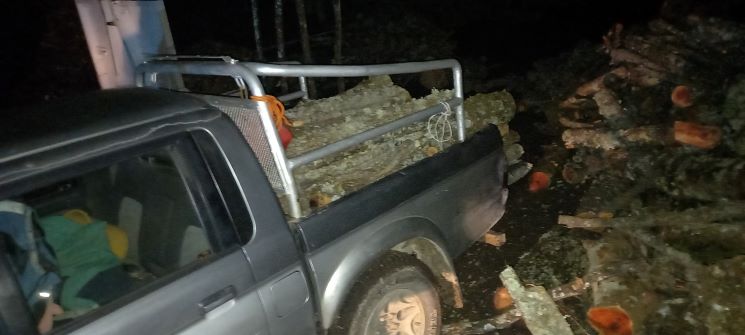 CONTIGLIANO: RUMENO RUBA LEGNA DA ARDERE, ARRESTATO
