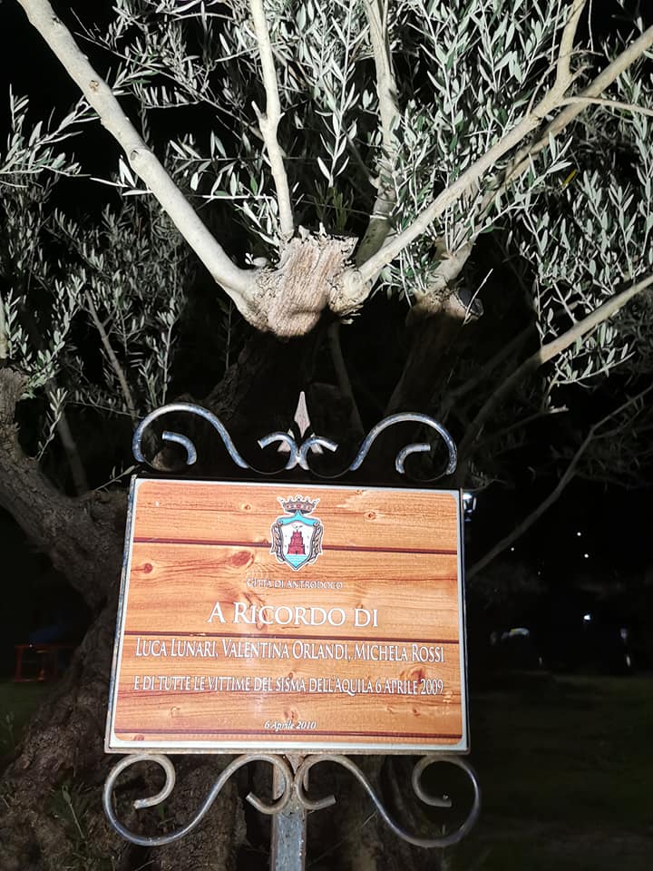 ANTRODOCO ACCENDE LE LUCI SULL’ULIVO PER RICORDARE LE VITTIME DEL SISMA