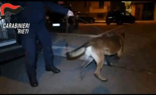 RIETI, DROGA NASCOSTA NEL PARCO PER BAMBINI: 8 ARRESTI