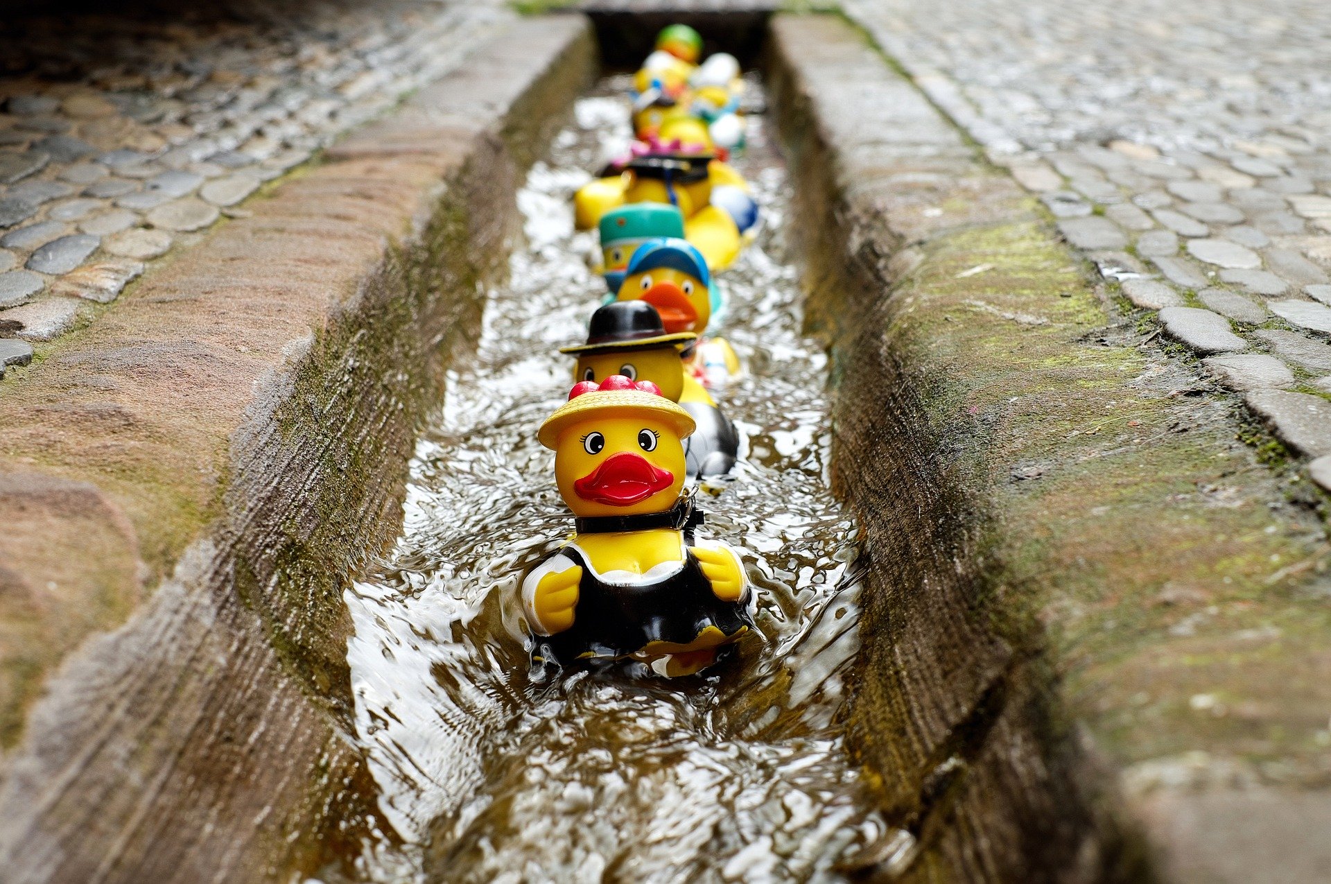 Foto di Couleur da Pixabay