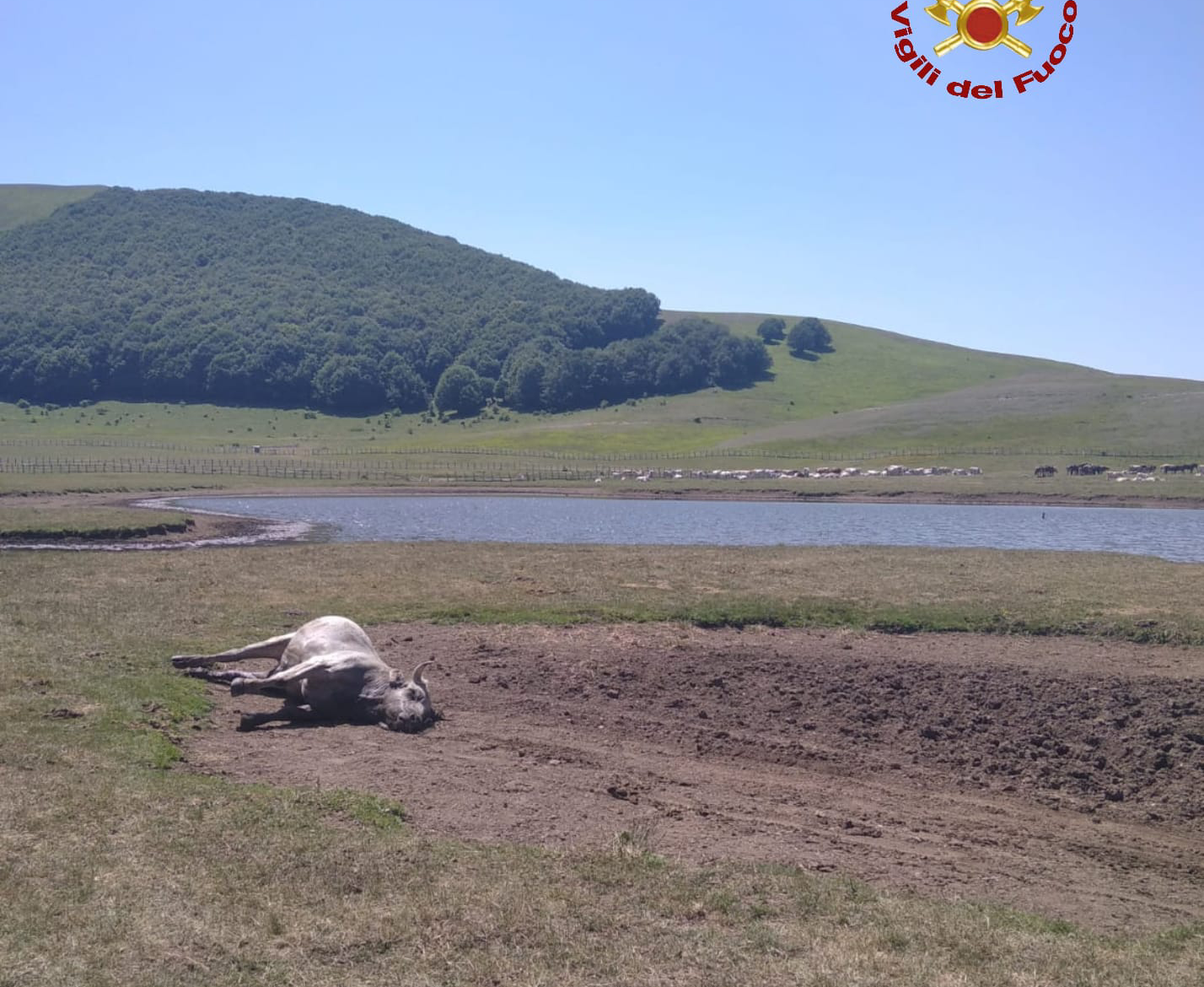 Polish_20220620_180020873