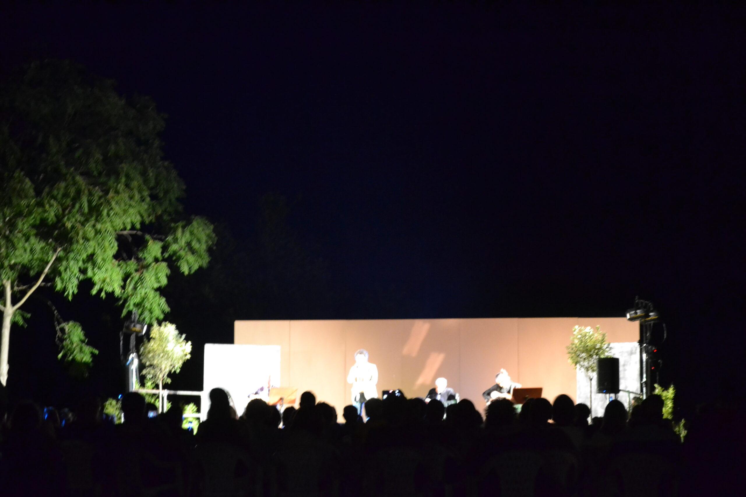 foto 1 Magliano Sabina Art In festival 2022 DSC_0027
