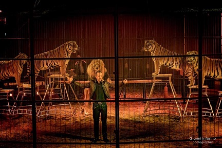 A Rieti arriva il nuovo strepitoso show di successo 2024 dell’Imperial Royal Circus