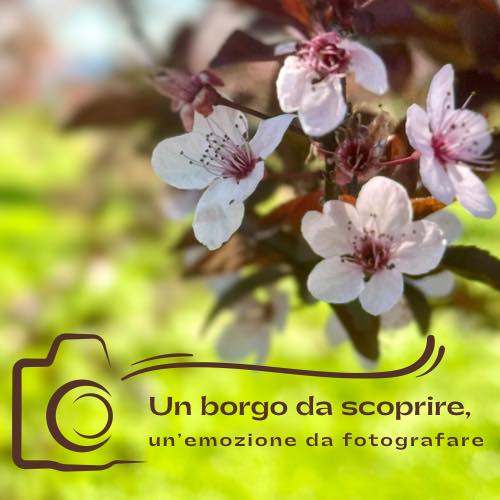 FARA IN SABINA, ARRIVA “UN BORGO DA SCOPRIRE, UN’EMOZIONE DA FOTOGRAFARE”:
