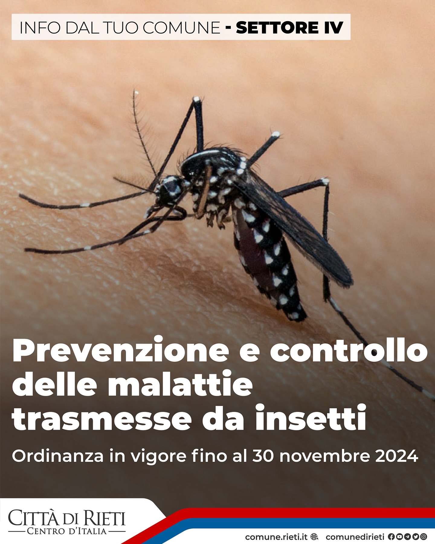 Zanzara tigre, Rieti: in vigore ordinanza con provvedimenti per la prevenzione delle malattie trasmesse